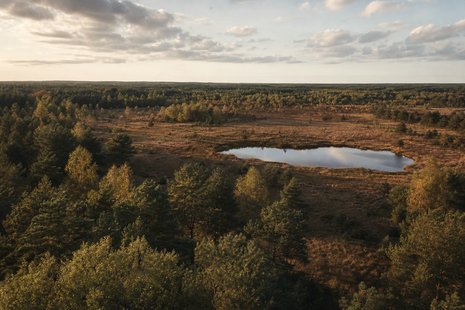 Zusammenhängende Wald- und Heideflächen mit Gewässer aus der Luft